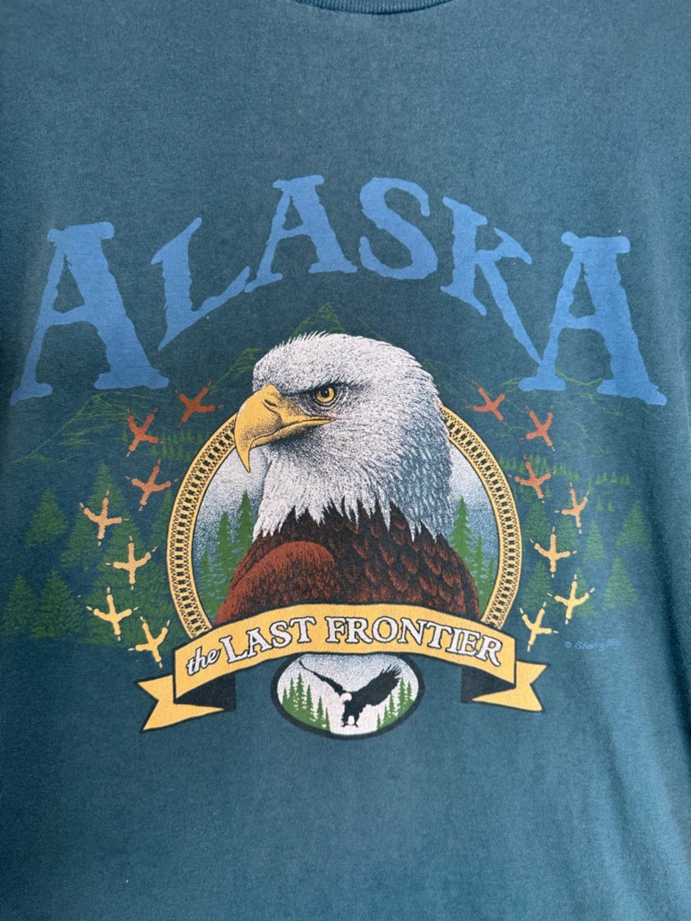 Alaska VTG Graphic T-Shirt bald eagle sz Large “The Last Frontier” TRASHED green - Picture 2 of 9